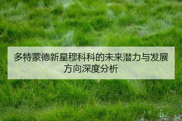 duo-te-meng-de-xin-xing-mu-ke-ke-de-wei-lai-qian-li-yu-fa-zhan-fang-xiang-shen-du-fen-xi-1-520.jpg